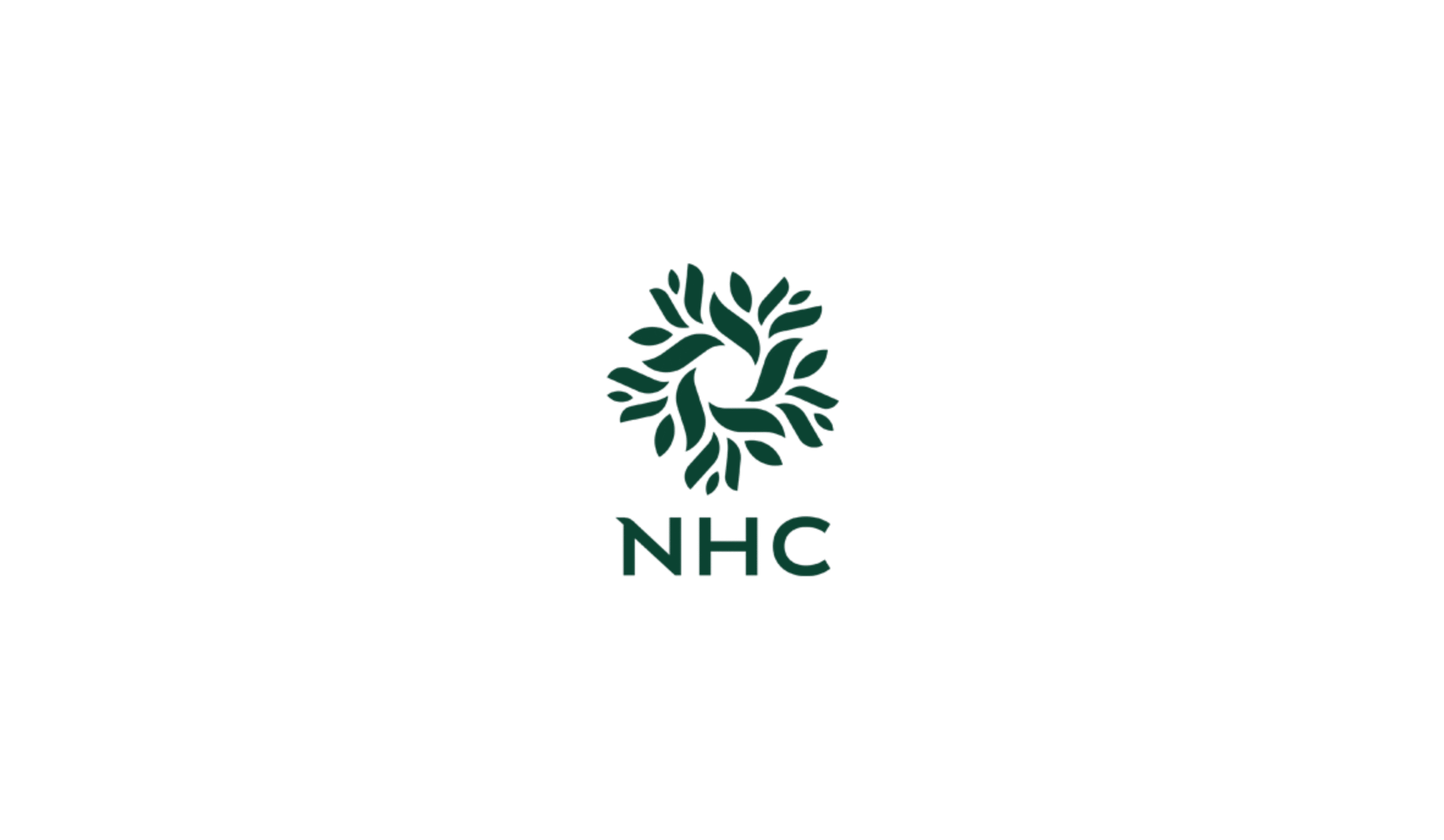 Partner Logo